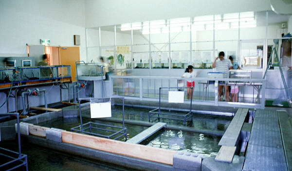 養魚池と採卵ふ化室