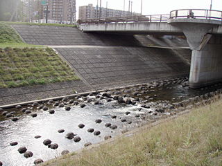 寒月橋下流のサケ観察ポイント