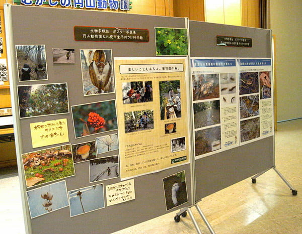 円山動物園とコラボでポスター展示