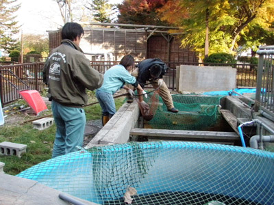 サケ、動物園へ行く～その１