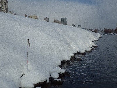 河川敷の雪